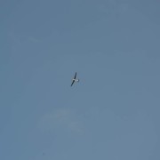 15.10. Zavírání nebe Jiřice