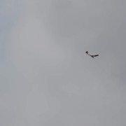 27.4. RCVS Podhořany