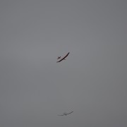 17.11. Limit Cup 2021