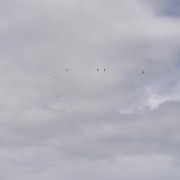 14.8. RCV2 Přibyslav