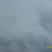 12.5. RCVS Chotěboř