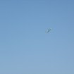 p51825452011pa